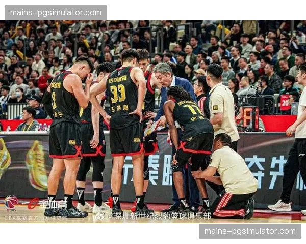 深圳马可波罗93-88击败江苏 萨林杰全面数据统治攻防